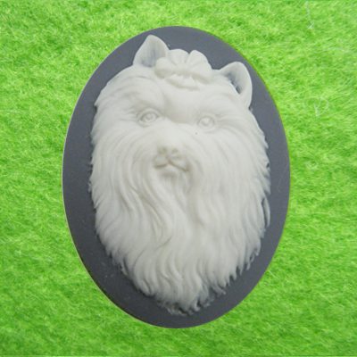 Kamee koerakesega/40x30 mm